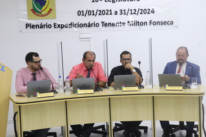 11ª Reunião Ordinária 