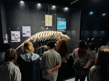 Visita técnica Câmara Mirim