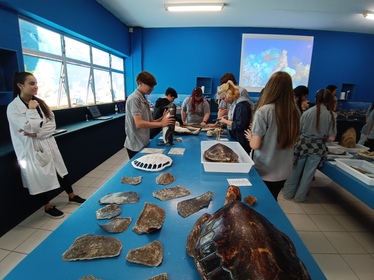 Visita técnica Câmara Mirim