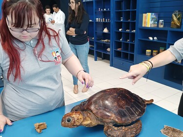 Visita técnica Câmara Mirim