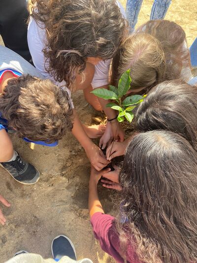 Ação realizada nas escolas de Penha