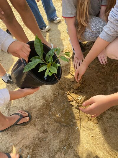 Ação realizada nas escolas de Penha