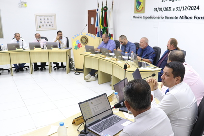 13ª Reunião Ordinária 