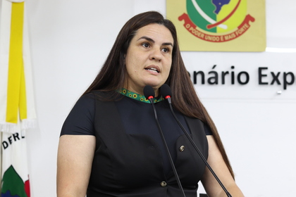 46ª Reunião Ordinária 